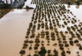 Severe weather and flood alerts issued for Greece and Turkey