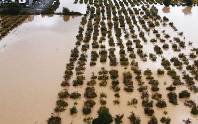Severe weather and flood alerts issued for Greece and Turkey