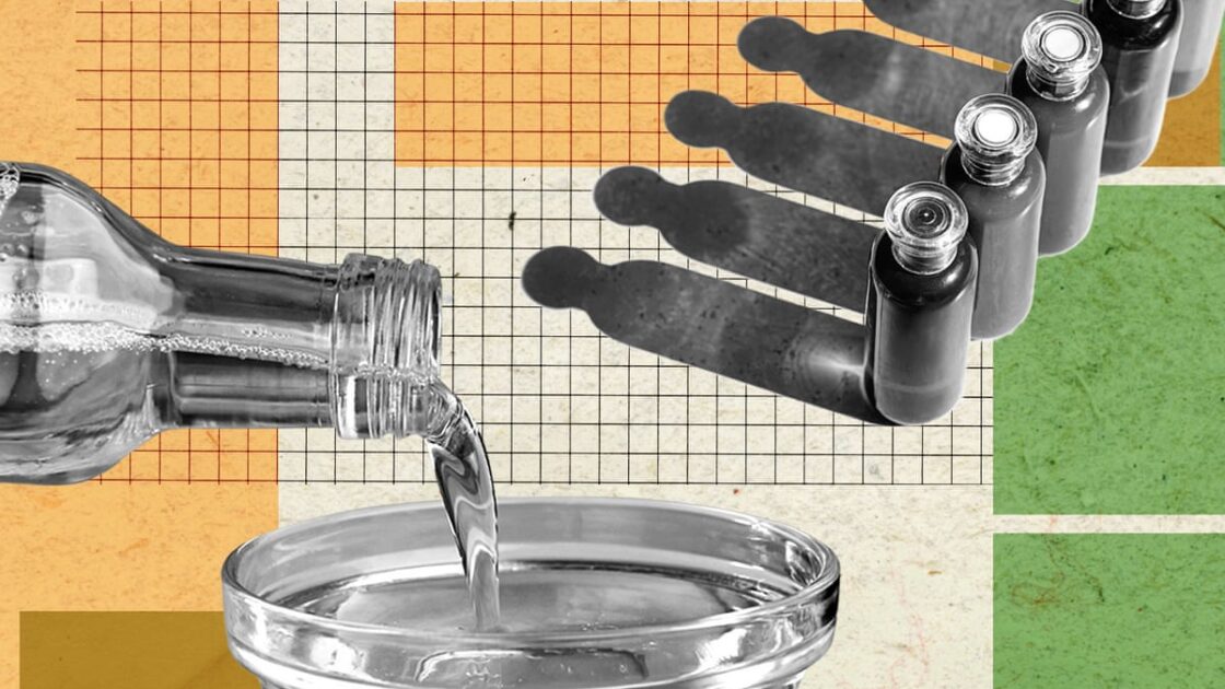 Are Seed Oils Unhealthy? What Expert Evidence Reveals