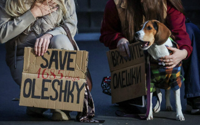 Russia Halts Kherson Strikes for Oleshky Ceasefire