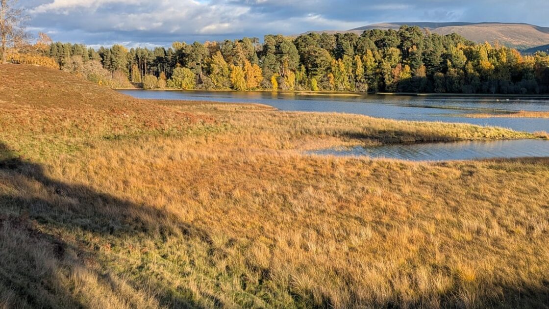 Finding Beauty and Light in Scotland as Autumn Days Shorten