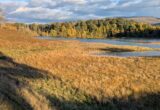 Finding Beauty and Light in Scotland as Autumn Days Shorten