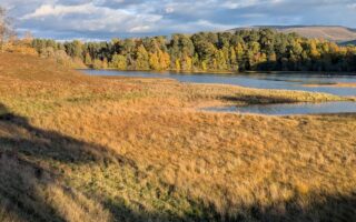 Finding Beauty and Light in Scotland as Autumn Days Shorten