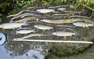 South West Water receives lowest environmental rating