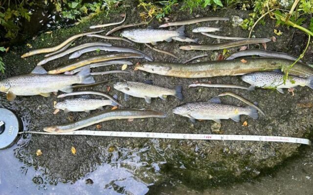 South West Water receives lowest environmental rating