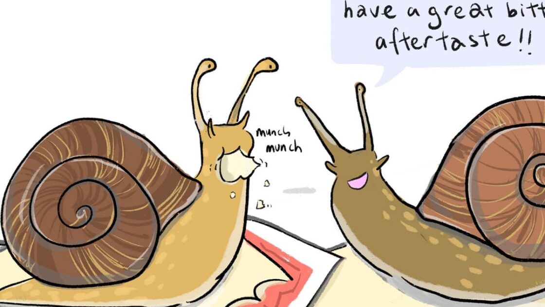 Why Garden Snails Eat Mail and How to Stop Them