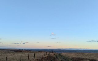 Jackdaws dance in the wind as dusk falls on West Yorkshire