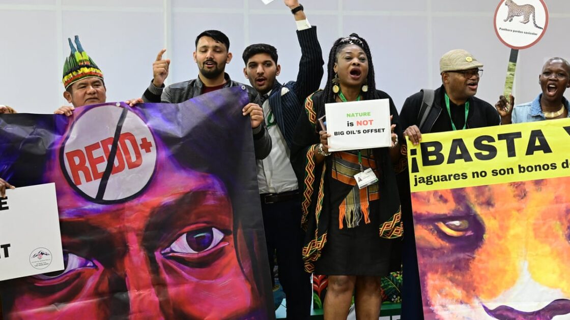 Calls Grow to Reform UN Biodiversity Summits as Cop17 Stalls