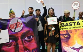 Calls Grow to Reform UN Biodiversity Summits as Cop17 Stalls