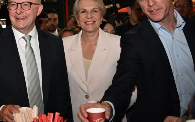 NSW Backflips on Takeaway Coffee Cup Laws After Backlash