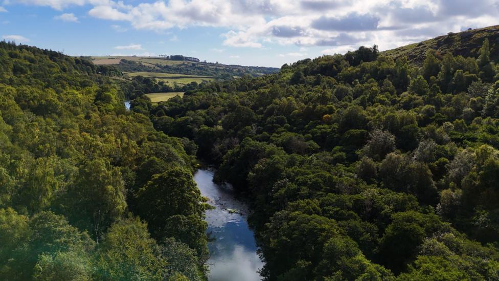 Attenborough-Backed £30m Appeal Secures Rothbury Estate