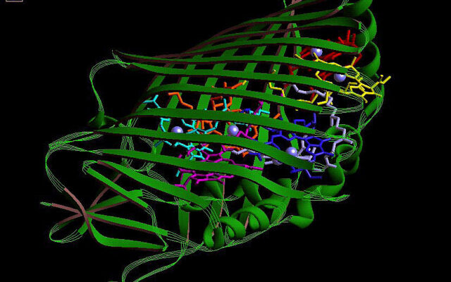 AI Protein and DNA Design Tools Take Natural Language Prompts