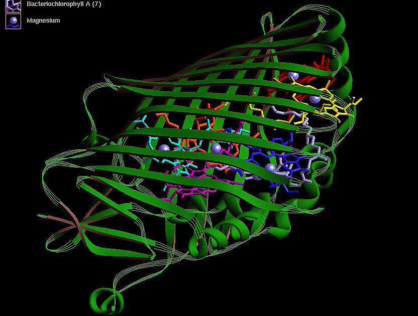 AI Protein and DNA Design Tools Take Natural Language Prompts