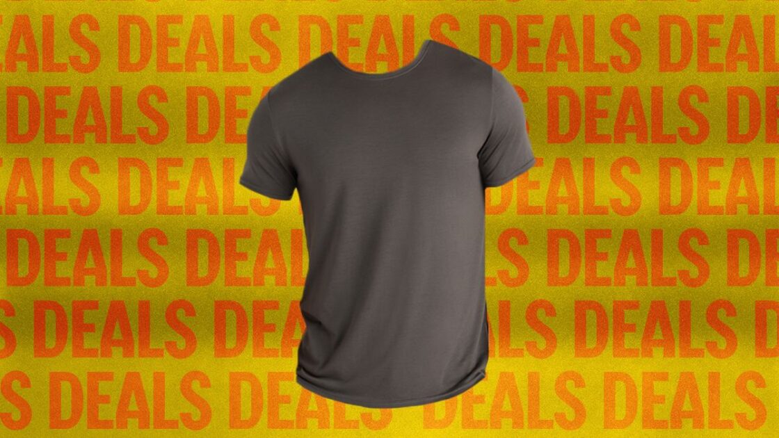 Affordable Merino Wool T-Shirt from Quince Costs $42