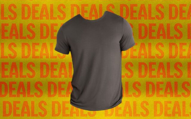 Affordable Merino Wool T-Shirt from Quince Costs $42