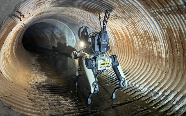 ICE Robot Dog Sale Sparks Protest From Boston Dynamics Workers
