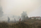 Wildfires Smoke Killed Over 3,500 in Indonesia, Report Says