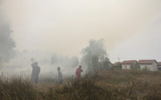 Wildfires Smoke Killed Over 3,500 in Indonesia, Report Says