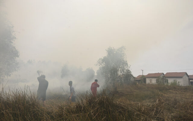 Wildfires Smoke Killed Over 3,500 in Indonesia, Report Says