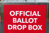 US Court Rules Against Trump in California Voting Case