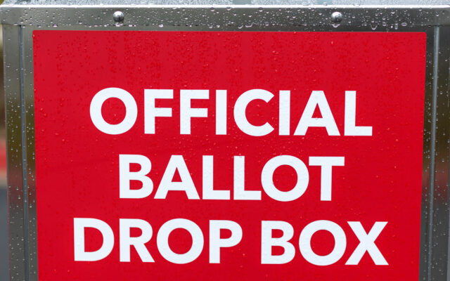 US Court Rules Against Trump in California Voting Case